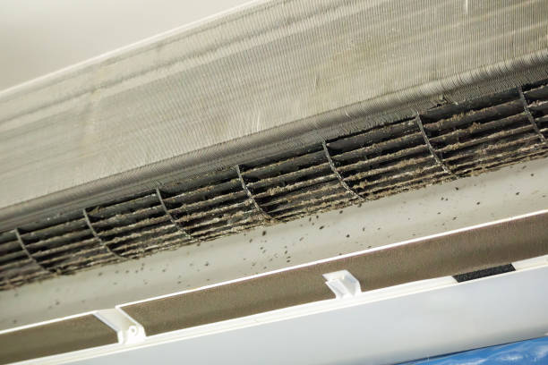 Best Local Air Duct Cleaning Services  in Enterprise, OR