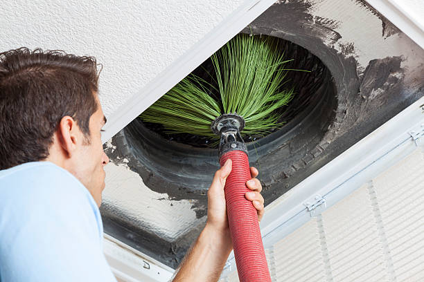 Best Local Air Duct Cleaning Services  in Enterprise, OR